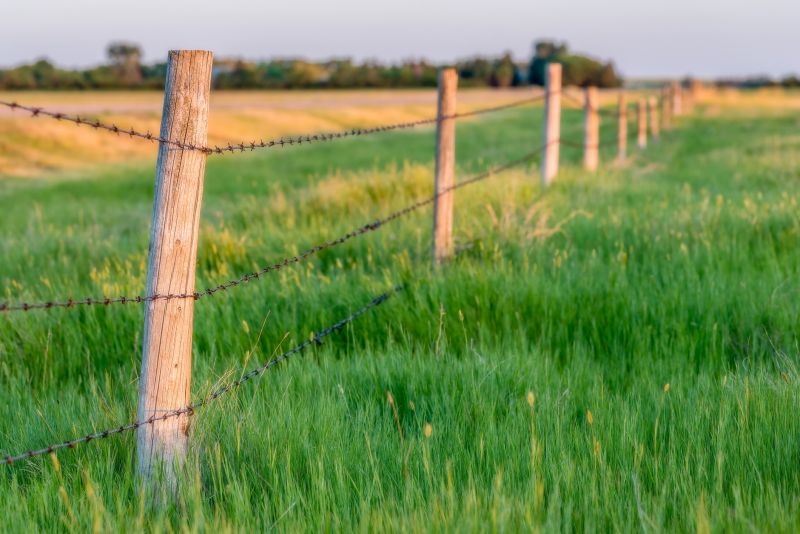 Barbed Wire Fence Installation