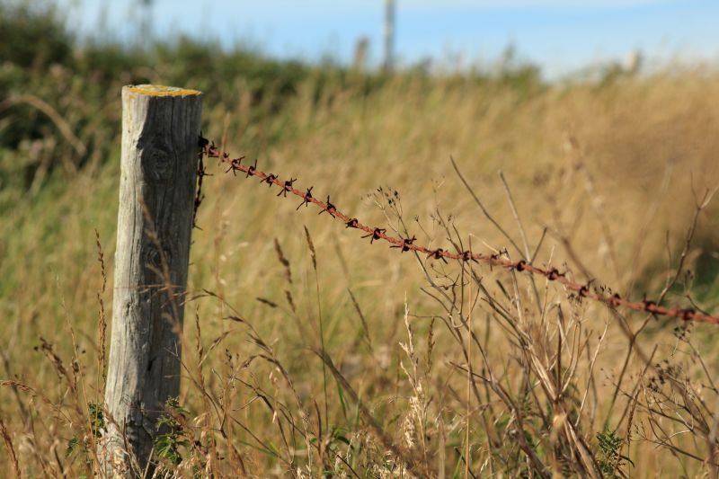 Barbed Wire Fence Repair
