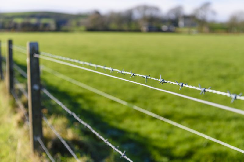 Commercial Barbed Wire Fence Installation