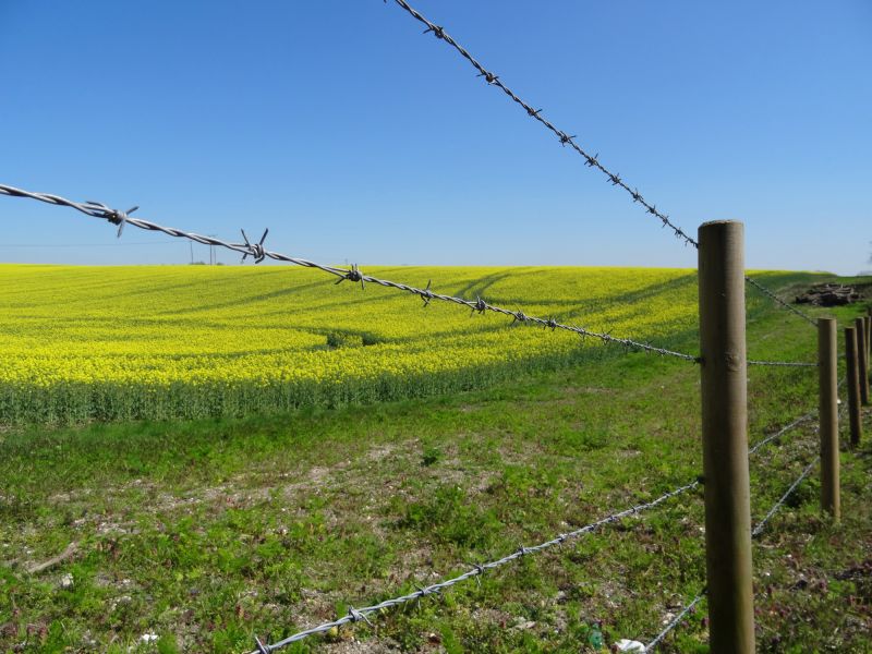 Commercial Barbed Wire Fence Installation