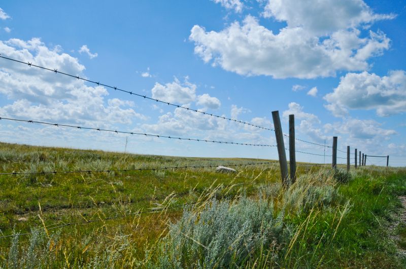 Commercial Barbed Wire Fence Installation