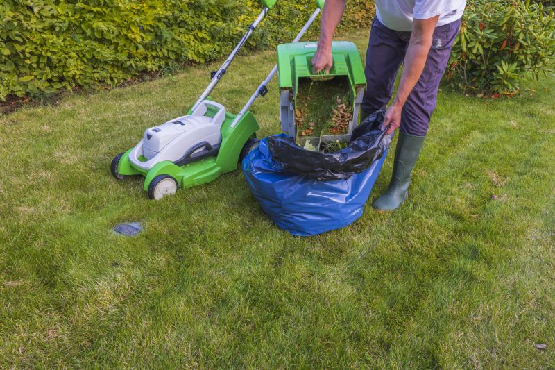 Commercial Lawn Cleanup
