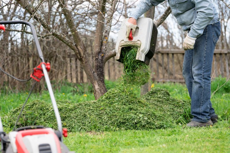 Commercial Lawn Cleanup