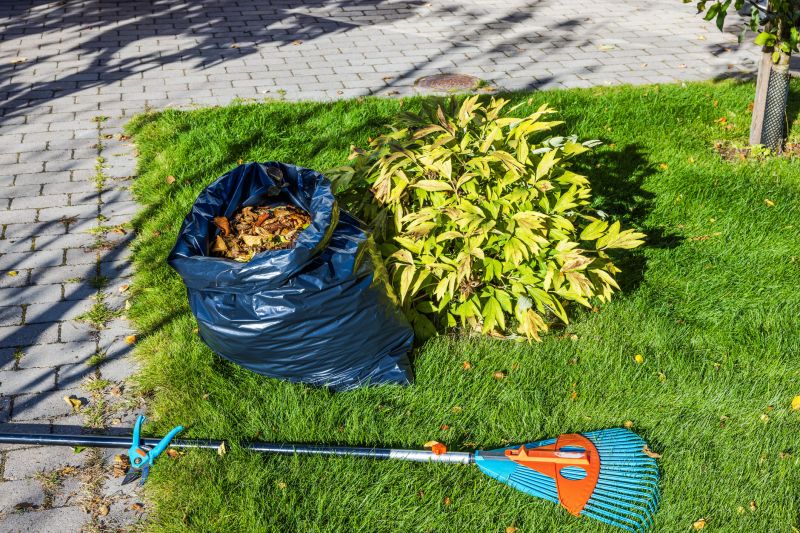 Commercial Lawn Cleanup