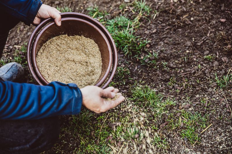 Commercial Lawn Seeding