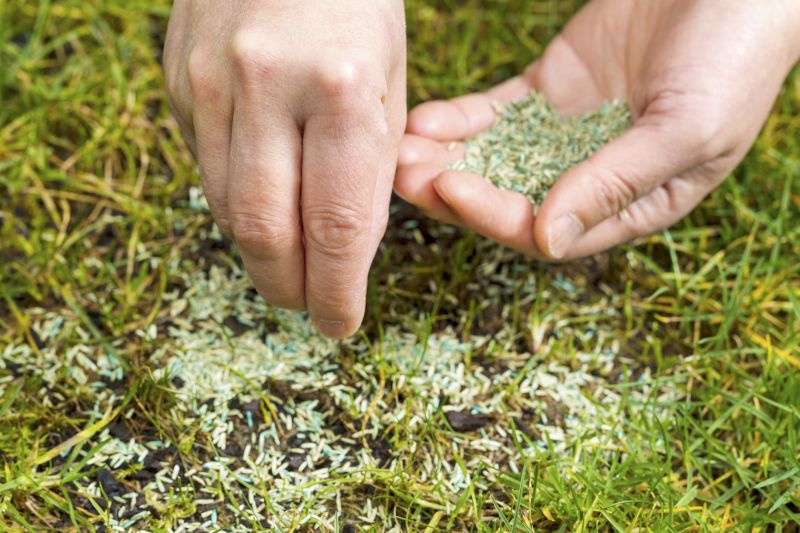 Commercial Lawn Seeding