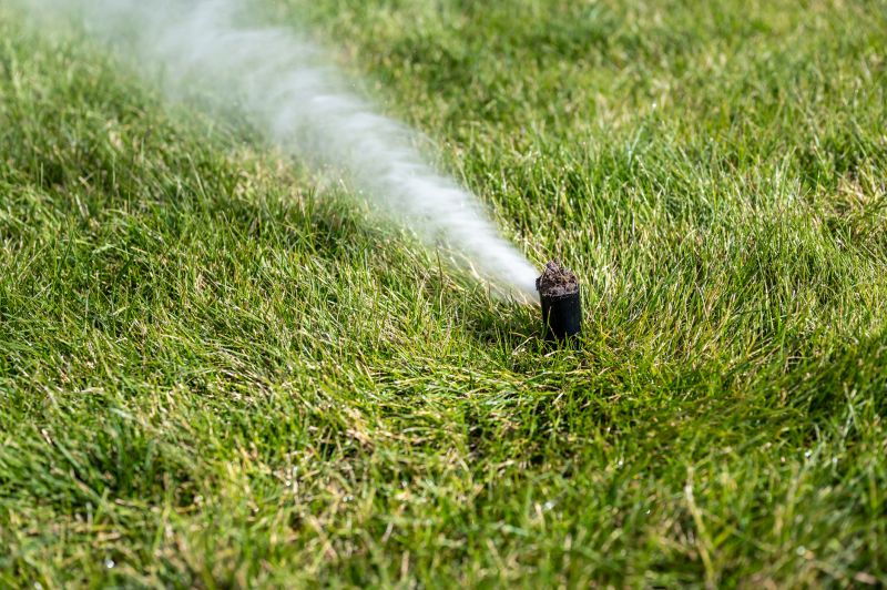 Commercial Lawn Sprinklers Winterization