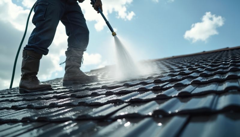 Commercial Roof Cleaning
