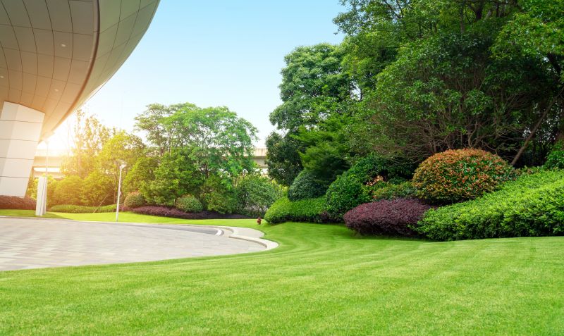 Commercial Shrub Trimming