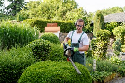 Commercial Shrub Trimming