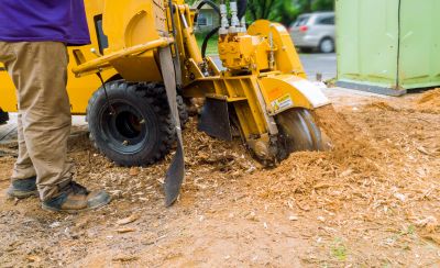 Commercial Stump Grinding