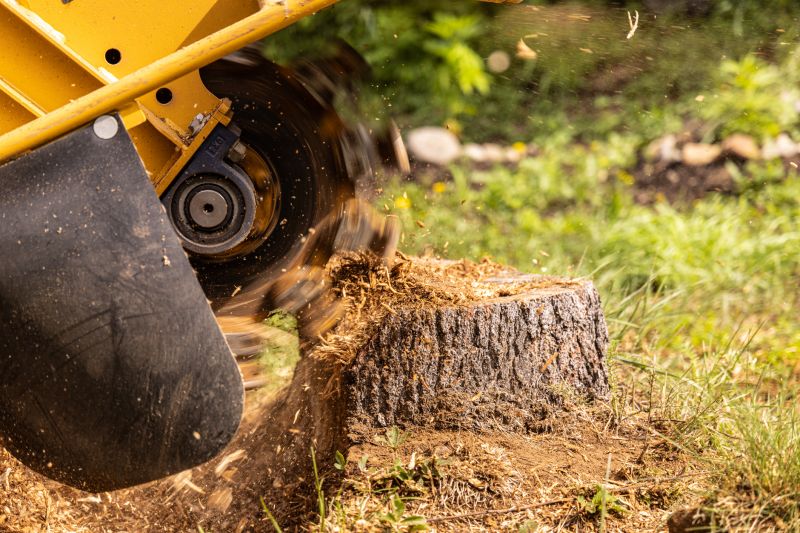 Commercial Stump Grinding