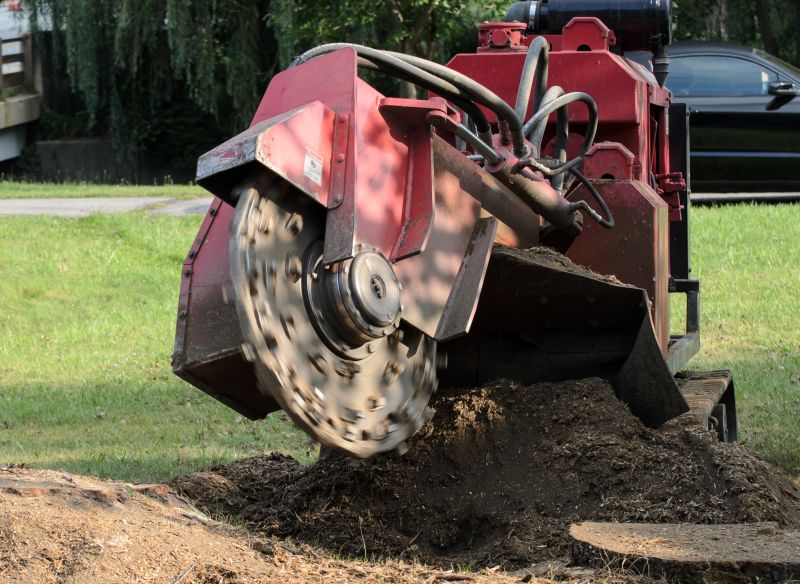Commercial Stump Grinding