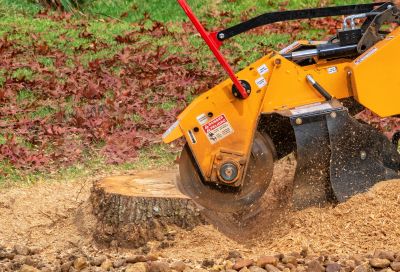 Commercial Stump Grinding