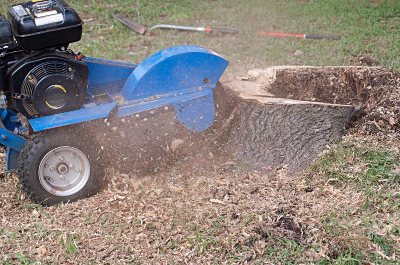 Commercial Stump Grinding