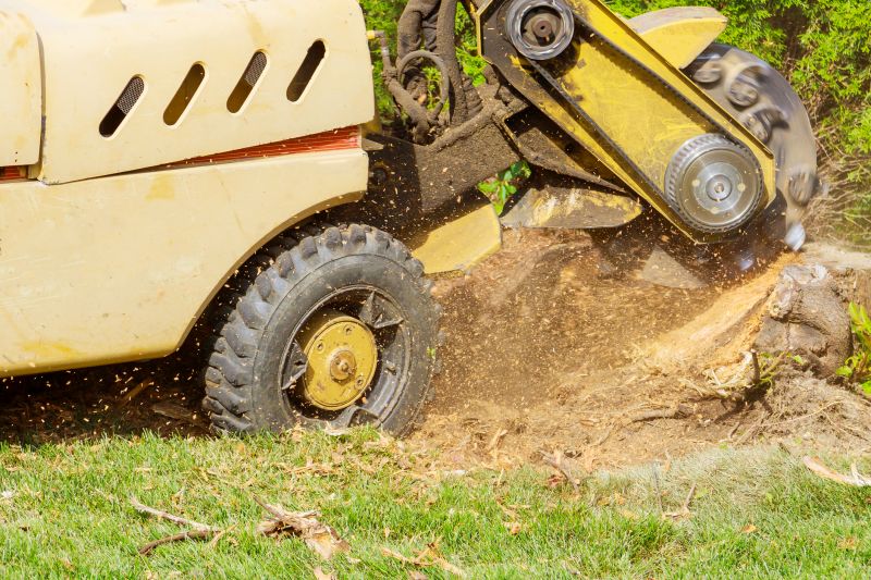 Commercial Stump Grinding