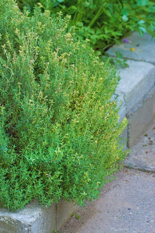 Concrete Curbing