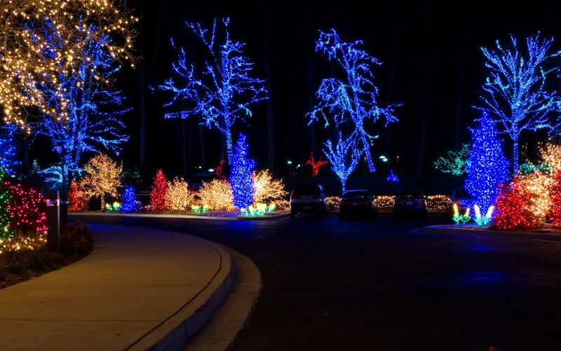 Holiday Lights Installation