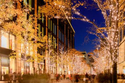 Holiday Lights Installation