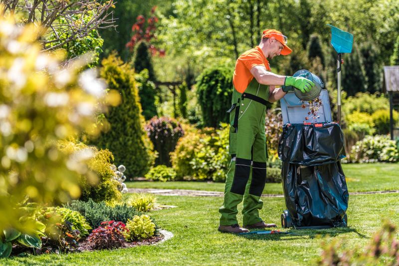 Lawn Cleanup