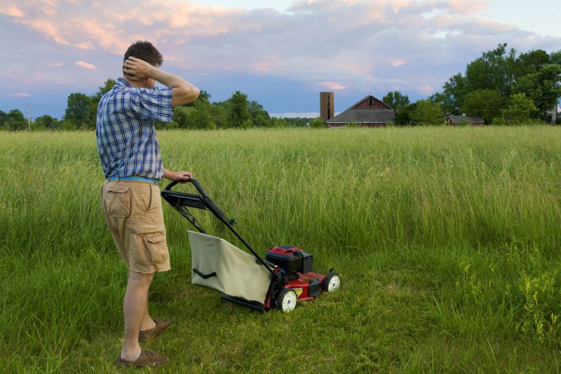 Lawn Mowing
