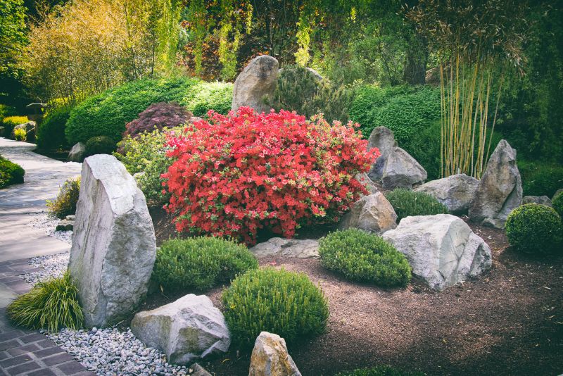 New Landscaping Installation