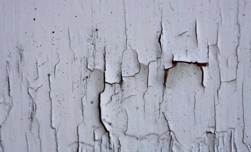 Paint Removal