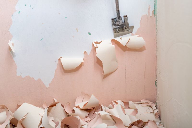 Paint Removal