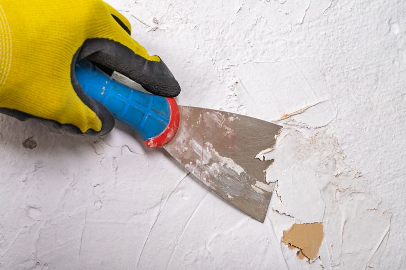 Paint Removal
