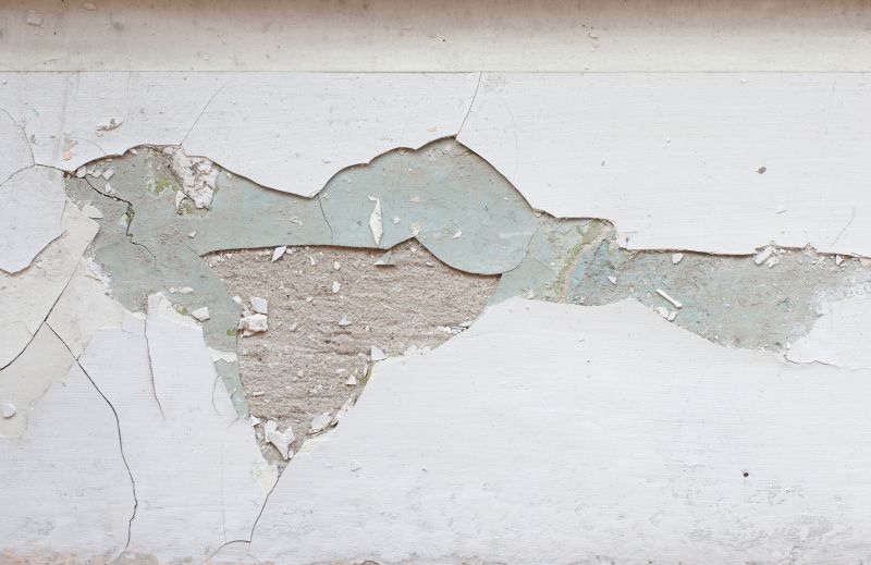 Paint Removal