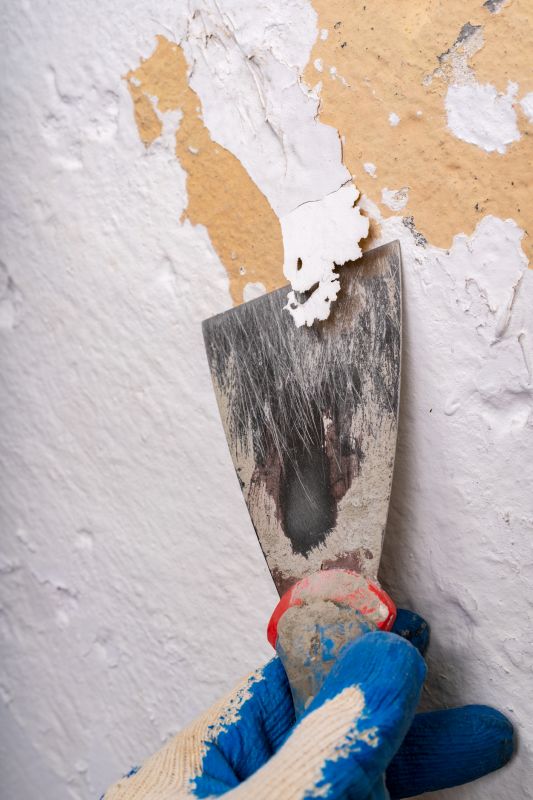 Paint Removal