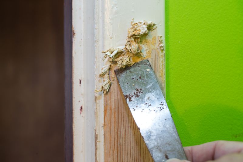 Paint Removal