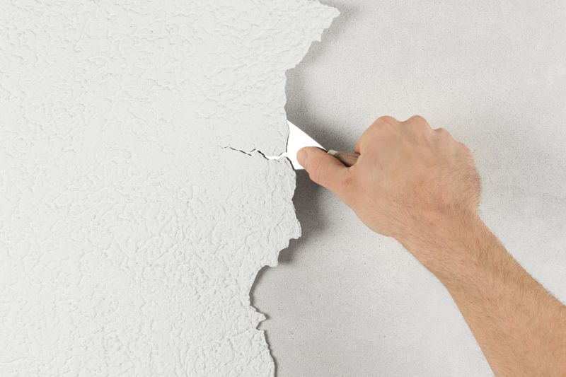 Paint Removal