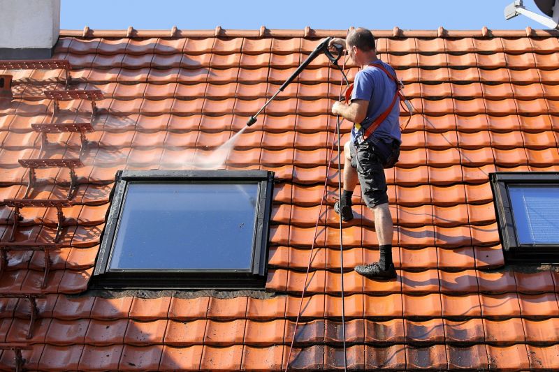 Roof Cleaning