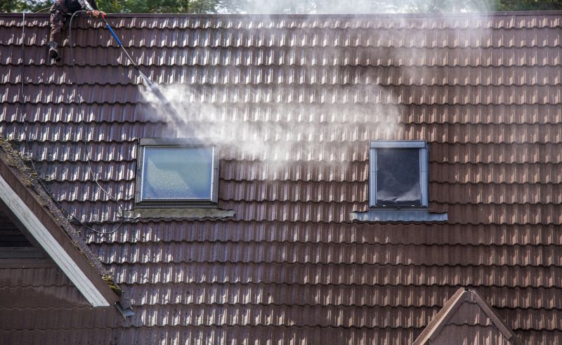Roof Cleaning
