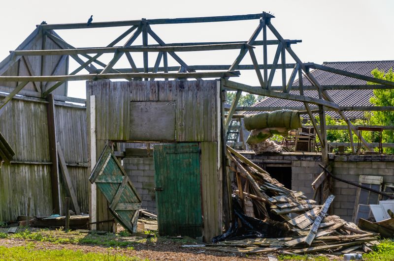 Shed Demolition