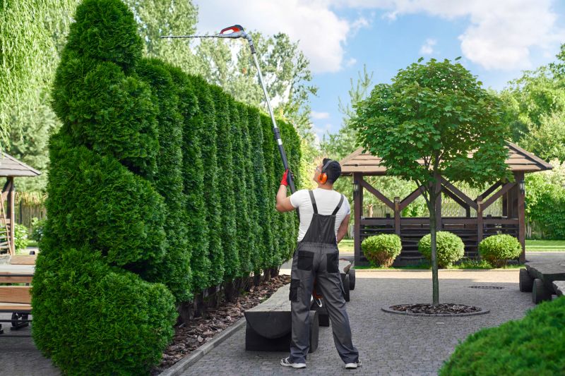 Shrub Trimming