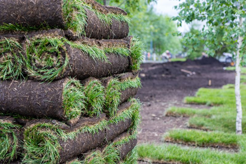 Sod Installation