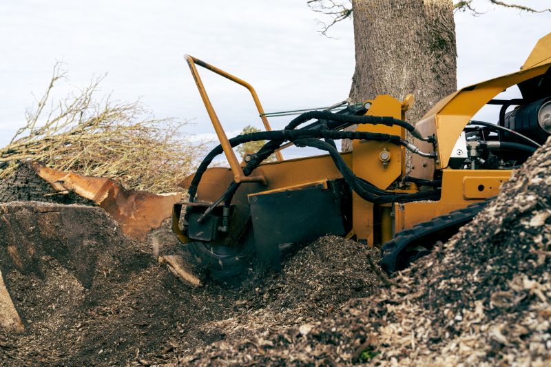 Stump Grinding