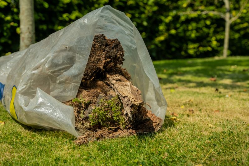 Tree Removal