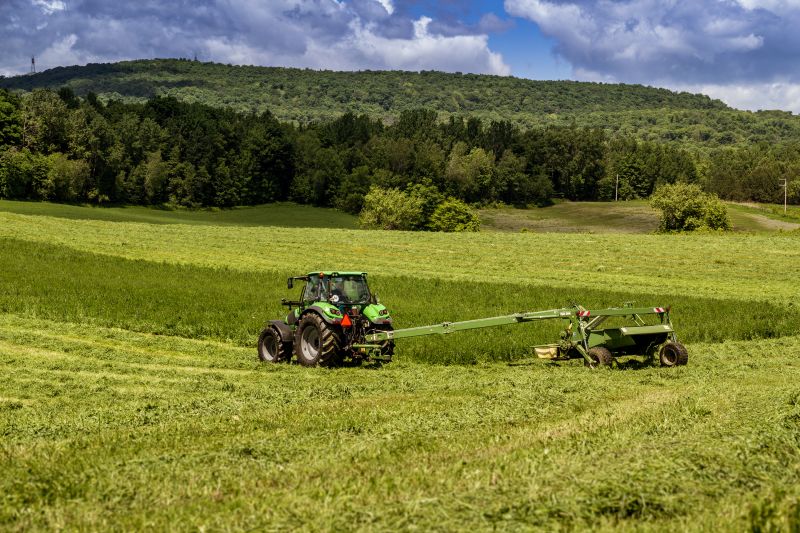 Why You Should Use Bush Hogging Services